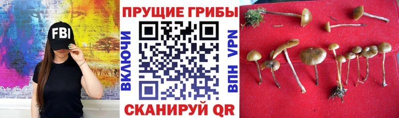 Галлюциногенные грибы мухоморы магазин Карабаш