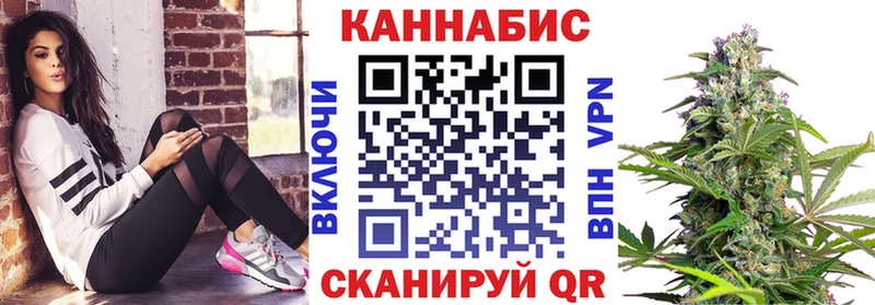 Марихуана сатива Карабаш